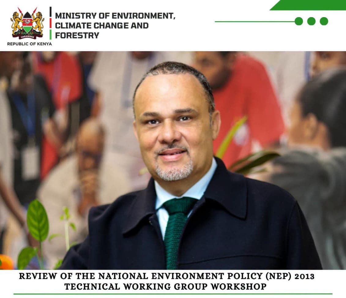 Review of the National Environment Policy (NEP) 2013: Technical Working Group Workshop